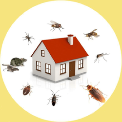 herbal-pest-control-service-250x250.png