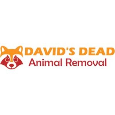 A David's Dead Animal Removal 300.jpg