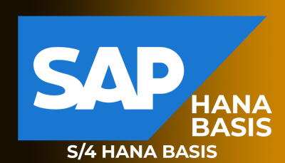 SAP Hana Basis.png