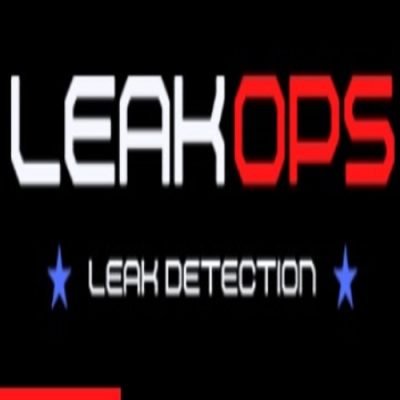 logo leak (1).jpg