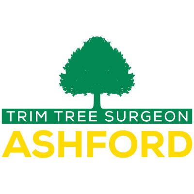 Trim Tree Surgeon Ashford SOCIALS.jpg