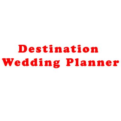 Destination-Wedding-Planner-logo.jpg