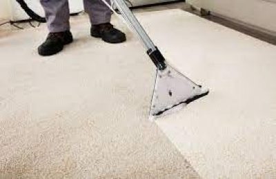 carpet cleaning brighton edition.jpg