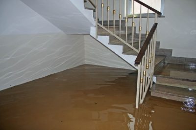 flood-restoration (1).jpg