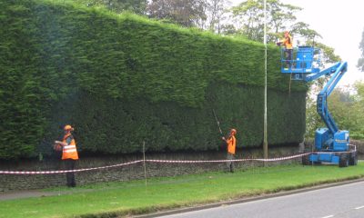 Bolton Hedge Pruning.jpg