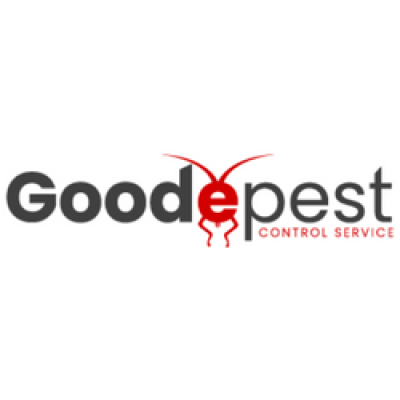 Goode Wasp Removal Sydney.png