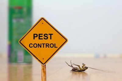 reliable-pest-control.jpg