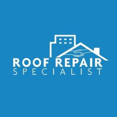 Roof Repair Specialist.jpg