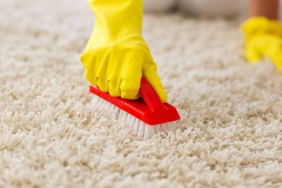 How-To-Clean-Carpet-Scrubbing-Rugs.jpg
