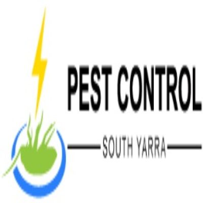 Pest Control South Yarra 256.jpg