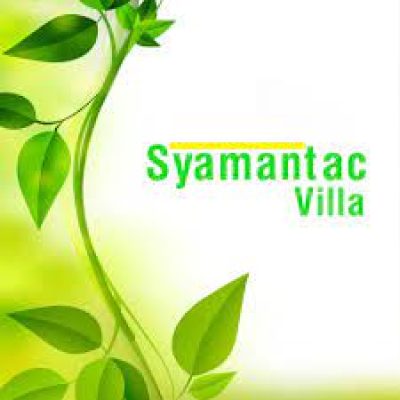 logo of symantac.jpg