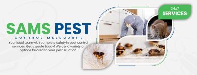 Sams Wasp Control Melbourne (5).jpg